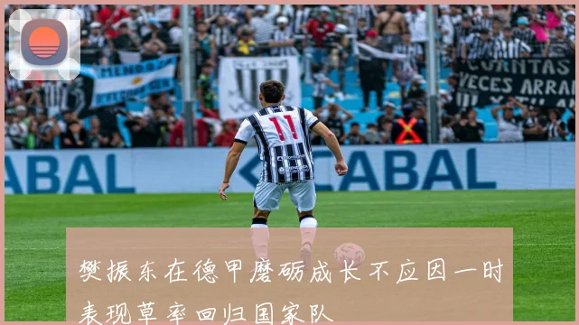 樊振东在德甲磨砺成长不应因一时表现草率回归国家队