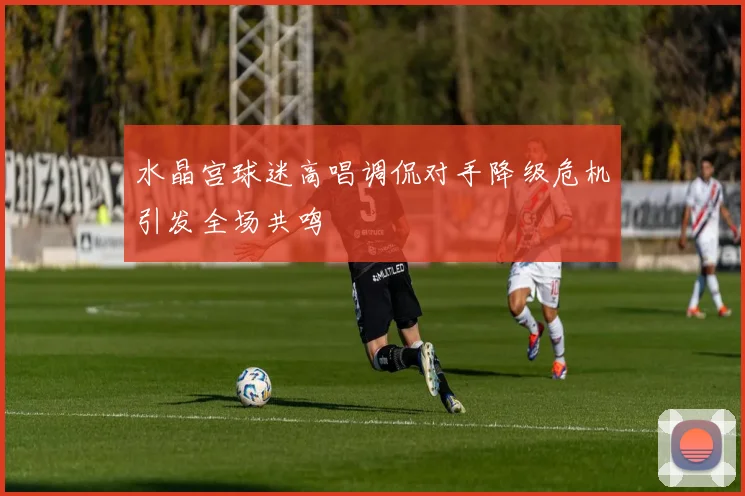 水晶宫球迷高唱调侃对手降级危机引发全场共鸣