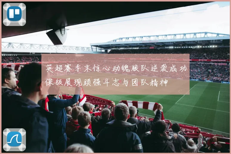 英超赛季末惊心动魄狼队逆袭成功保级展现顽强斗志与团队精神