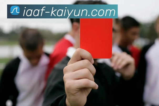 开云官网APP 封面图